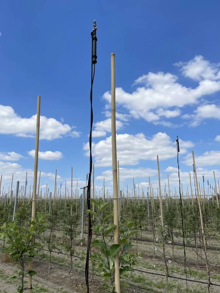 Frostschutzberegner auf einer Plantage der Havelfrucht GmbH. In einer Studie wird ein Ausbau empfohlen.