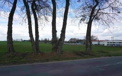 Haushalt 2026 beschlossen