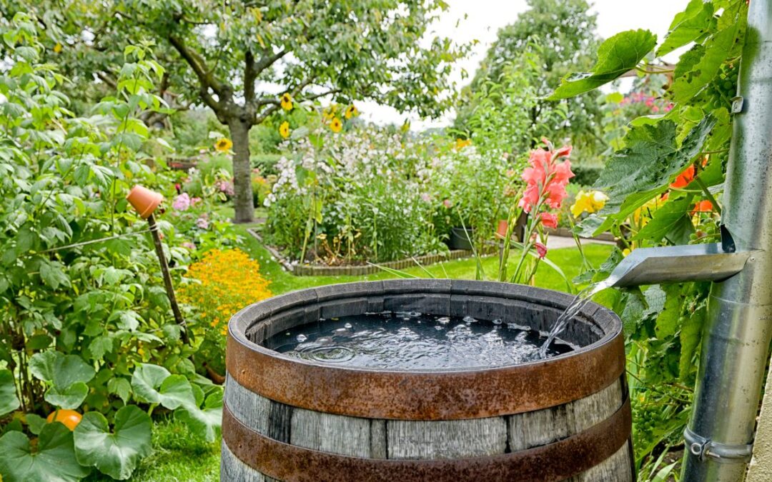 Regenwasser im Blick